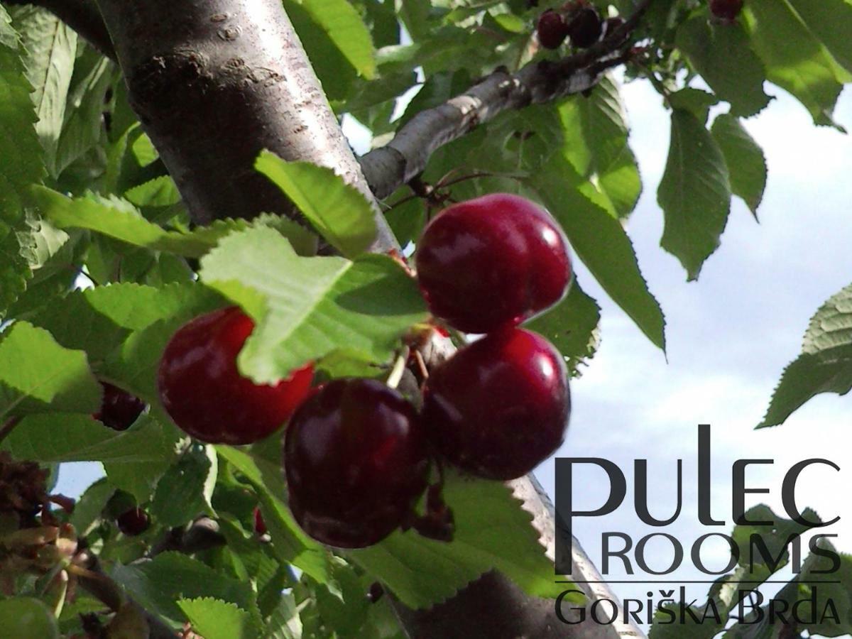 Apartma Sobe Pulec โดบรอโว ภายนอก รูปภาพ